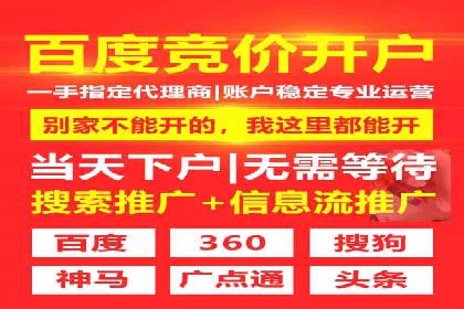 SEO技术突破：某网站流量暴增的背后故事
